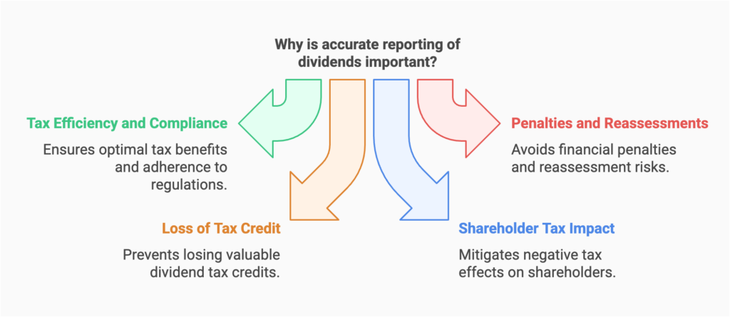 Infographic highlighting the importance of accurate reporting of dividends. Features four key points: Tax Efficiency and Compliance, ensuring adherence to regulations; Loss of Tax Credit, preventing the loss of valuable credits; Penalties and Reassessments, avoiding financial penalties; and Shareholder Tax Impact, mitigating negative tax effects on shareholders.