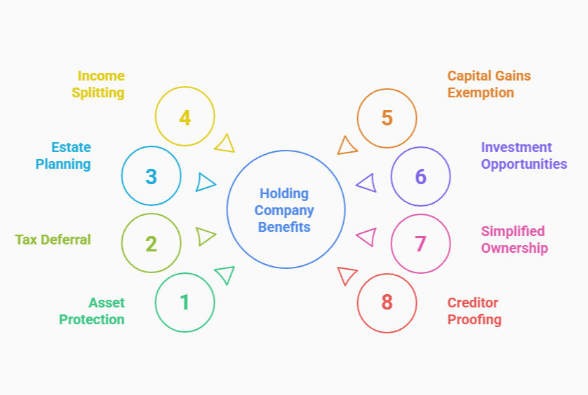 Infographic showing eight benefits of a holding company: Asset Protection, Tax Deferral, Estate Planning, Income Splitting, Capital Gains Exemption, Investment Opportunities, Simplified Ownership, and Creditor Proofing, arranged in a circular layout around a central circle labeled 'Holding Company Benefits.'